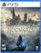 Гра Hogwarts Legacy для PlayStation 5, Russian Subtitles, Blu-Ray диск (5051895413425) 482797 фото 1