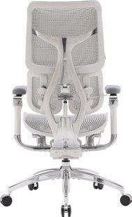 Крісло офісне Sihoo Doro S300 Mesh Light Grey (S300-M202) 571351 фото