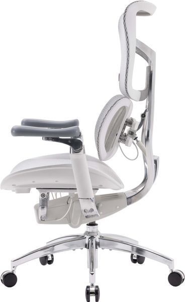 Крісло офісне Sihoo Doro S300 Mesh Light Grey (S300-M202) 571351 фото