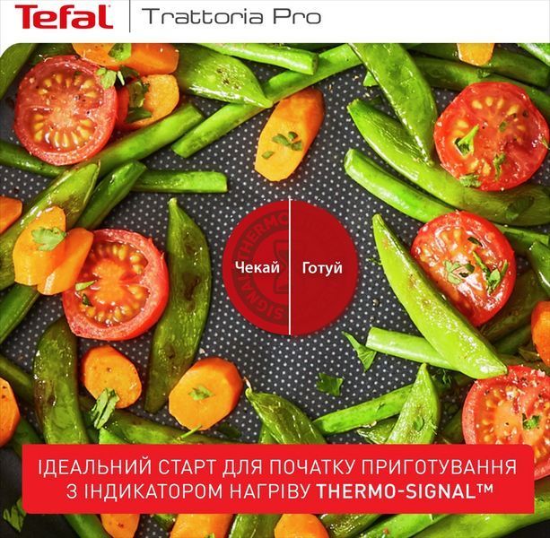 Сковорода Tefal Trattoria Pro 24 см (G6120444) 618814 фото