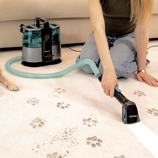 Миючий пилосос Cecotec Conga 6000 Carpet&Spot Clean XL (A01_EU01_122354) 621489 фото