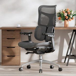 Крісло офісне Sihoo Doro S100 Mesh Black (S100-M301) 571357 фото