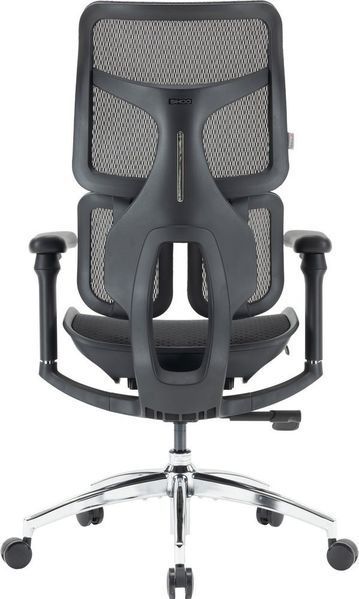 Крісло офісне Sihoo Doro S100 Mesh Black (S100-M301) 571357 фото