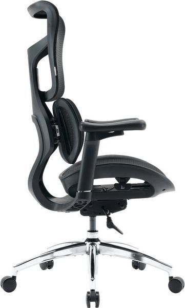 Крісло офісне Sihoo Doro S100 Mesh Black (S100-M301) 571357 фото