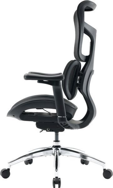 Крісло офісне Sihoo Doro S100 Mesh Black (S100-M301) 571357 фото