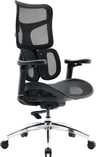 Крісло офісне Sihoo Doro S100 Mesh Black (S100-M301) 571357 фото
