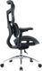 Крісло офісне Sihoo Doro S100 Mesh Black (S100-M301) 571357 фото 4
