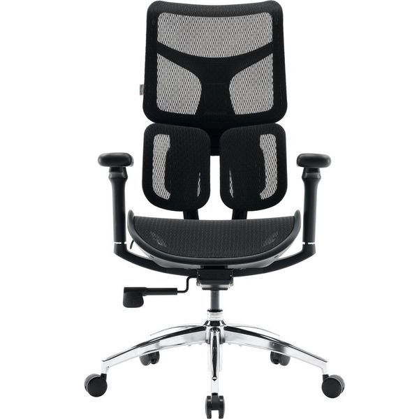 Крісло офісне Sihoo Doro S100 Mesh Black (S100-M301) 571357 фото