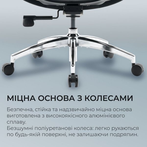 Крісло офісне Sihoo Doro S100 Mesh Black (S100-M301) 571357 фото