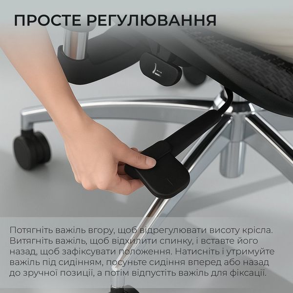 Крісло офісне Sihoo Doro S100 Mesh Black (S100-M301) 571357 фото