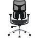 Крісло офісне Sihoo Doro S100 Mesh Black (S100-M301) 571357 фото 6
