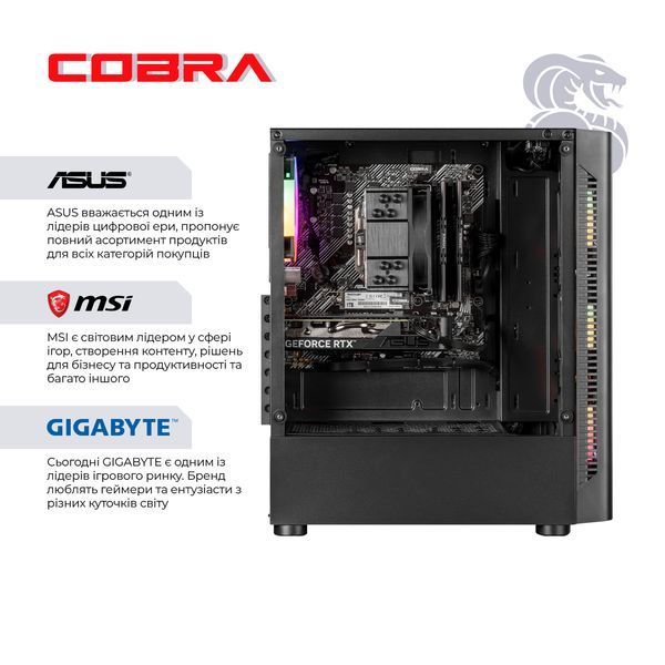 Персональний комп`ютер COBRA Advanced (A56.32.S10.96XT.20399) 559041 фото