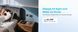 Мережевий зарядний пристрій Anker Charger 70W, 3xUSB-C, 1xUSB-A, Black (A121CG11) 606632 фото 2