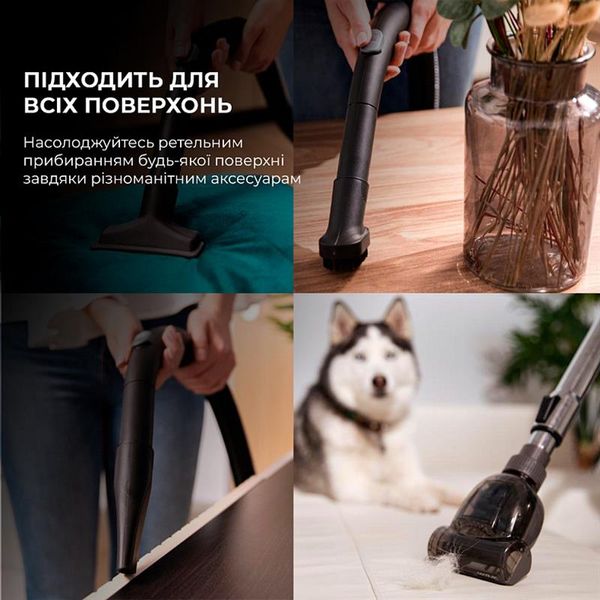 Пилосос Cecotec Conga Rockstar Multicyclonic XL Animal (CCTC-08592) 478349 фото