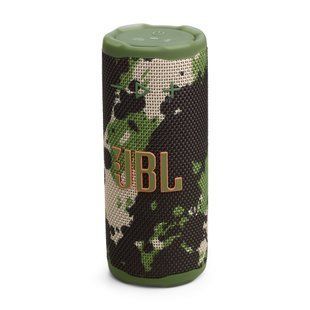 Акустична система JBL Grip Squad (JBLGRIPSQUAD) 571097 фото