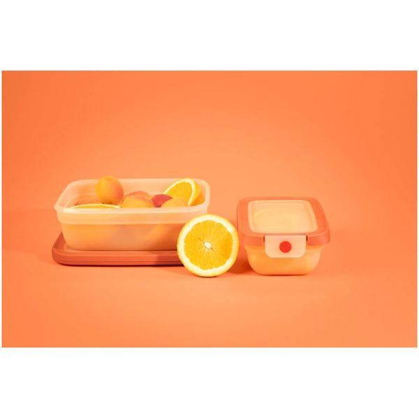 Контейнер Tefal oneClick 0.5 л (N1210210) 618892 фото