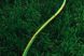 Шланг 2Е AquaFlex Green 1/2" 50м (2E-GHE12GN50) 552020 фото 4