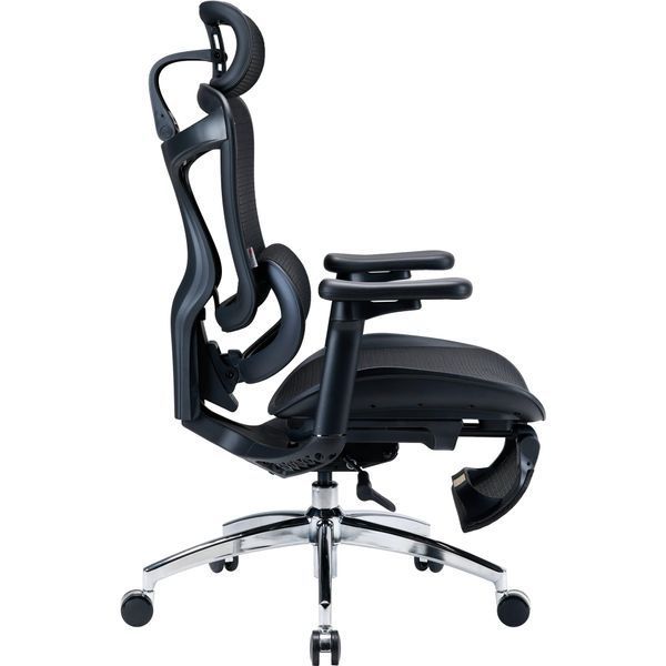 Крісло офісне Sihoo Doro C300L Mesh Black with footrest (Doro-C300L-A3-101-JT) 590802 фото