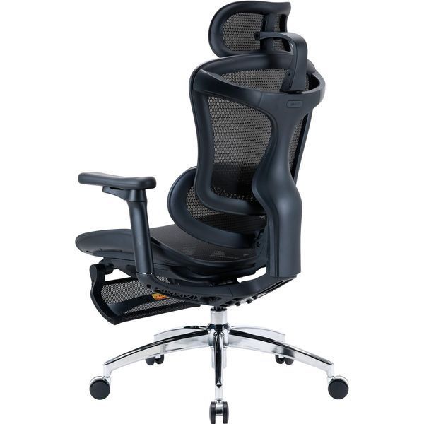 Крісло офісне Sihoo Doro C300L Mesh Black with footrest (Doro-C300L-A3-101-JT) 590802 фото