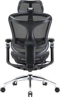Крісло офісне Sihoo Doro C300 Pro Mesh Black (DORO-C300-PRO-M101) 571379 фото